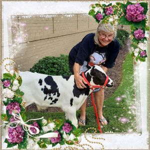 Meet your Posher, Jane